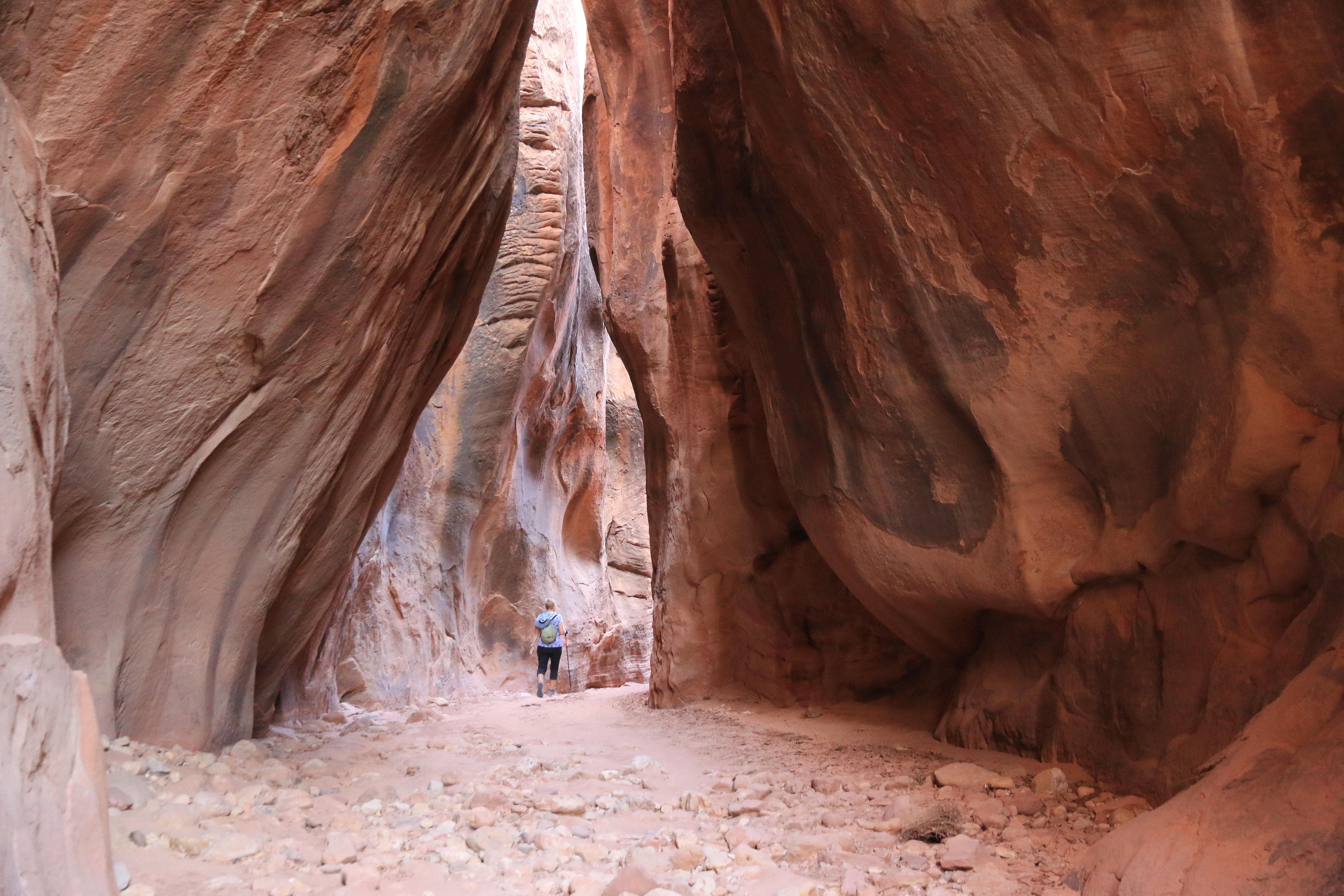 Vermillion Cliffs NM